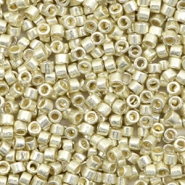 Miyuki Perlen delica's 11/0 Duracoat galvanized silver