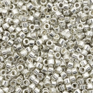 Miyuki Perlen delica's 11/0 Galvanized silver