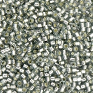 Miyuki Perlen delica's 11/0 Silverlined light gray DB-48