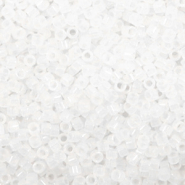 Miyuki Perlen delica's 11/0 Matte crystal DB-741