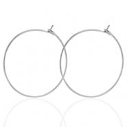 Ohrringe aus Stainless Steel - Rostfreiem Stahl 25mm Silber