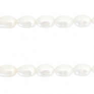 BQ Süsswasserperlen Rice 7x6mm Natural white