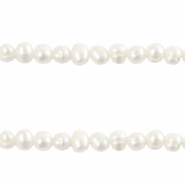 BQ Süsswasserperlen vertikales Fädelloch 4x5mm Natural white