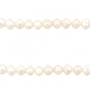 BQ Süsswasserperlen rund 4mm Natural white