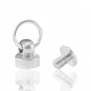 Handyh&uuml;llen-Schraubnieten Silver