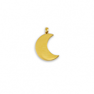 Stainless Steel - Rostfrei Stahl Anhänger La Luna Mond Gold