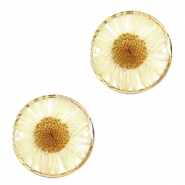 Zwischenst&uuml;cke mit getrockneter Blume 20mm Gold-beige