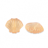 Acryl Perlen Muschel Transparent copper brown