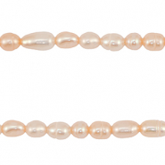 BQ Süßwasserperlen Rice 4-7x4-5mm Peach rose
