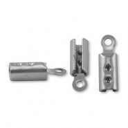 Rostfreier Stahl (Stainless Steel) Zubeh&ouml;r Klemme Silver