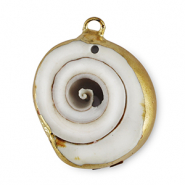 Muschel Anh&auml;nger Specials Schnecke Ivory-gold