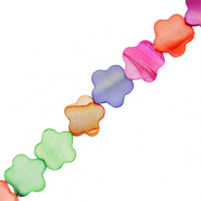 Muschel Perlenn Blume Multicolour