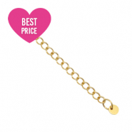 Stainless Steel - Rostfrei Stahl Schmuckzubehör Verlängerungskette coin 4mm Gold