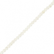 Muschel Perlen Rund White