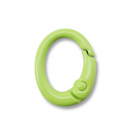 Farbiges Zubehör Schlüssel Anhänger Oval Green
