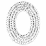 Stainless Steel - Rostfrei Stahl Anhänger Oval Silver