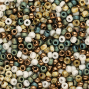 Miyuki Rocailles 8/0 Cosy weather