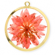 Anhänger mit getrockneter Blume 34 mm Gold-living coral red