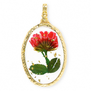 Anhänger mit getrockneter Blume Oval Gold-red-green