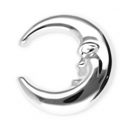 Stainless Steel - Rostfrei Stahl Statement Broschen Mond Silver