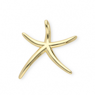 Brass TQ Metall Anh&auml;nger Seestern Gold