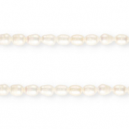 TQ S&uuml;sswasserperlen Rice 11x8mm Natural white