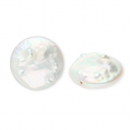Imperfekten S&uuml;&szlig;wasserperlen coin Pearl white