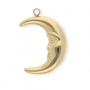 Anh&auml;nger aus rostfreiem Edelstahl, Mond Gold