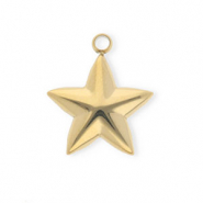 Anh&auml;nger aus rostfreiem Edelstahl, Stern Gold