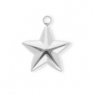 Anh&auml;nger aus rostfreiem Edelstahl, Stern Silver