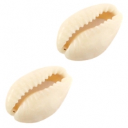 Kauri-Muscheln Ivory-beige