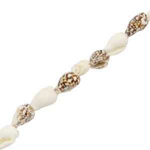 Muschel Perlen Wellhornschnecke Mixed brown-white