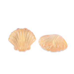 Acryl Perlen Muschel Transparent copper brown