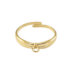 Ringe aus Stainless Steel - Rostfreiem Stahl mit &Ouml;se Gold