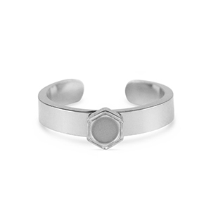 Geburtssteine Ring mit Fassung f&uuml;r SS16 Flatback aus Stainless Steel Silver