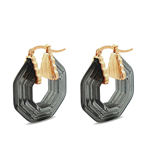Trendy Resin Ohrringe Hexagon Gold-transparent black