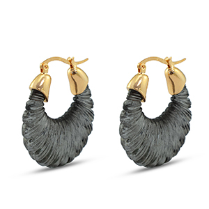 Trendy Resin Ohrringe Oval Gold-transparent black