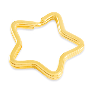 Metall Zubeh&ouml;r DQ Schl&uuml;ssel Anh&auml;nger Stern Gold (Nickelfrei)