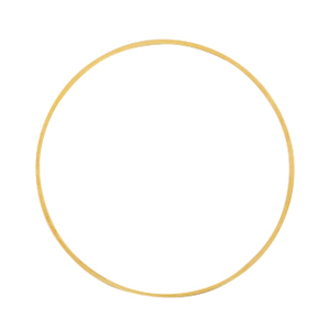 Metall Zubeh&ouml;r DQ Ring 30mm Gold (Nickelfrei)