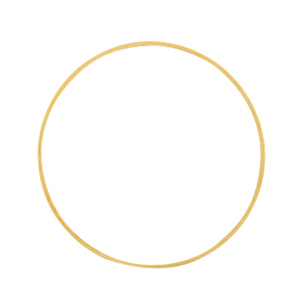 Metall Zubeh&ouml;r DQ Ring 25mm Gold (Nickelfrei)