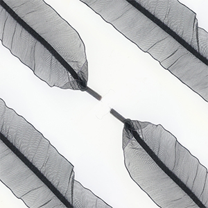 Trendy Schn&uuml;rsenkel Organza Black