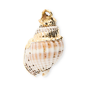 Muschel Anh&auml;nger Specials Wellhornschnecke Off white-gold