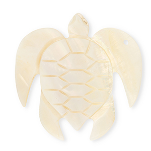Muschel Anh&auml;nger Specials Schildkr&ouml;te White-light peach