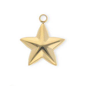 Anh&auml;nger aus rostfreiem Edelstahl, Stern Gold